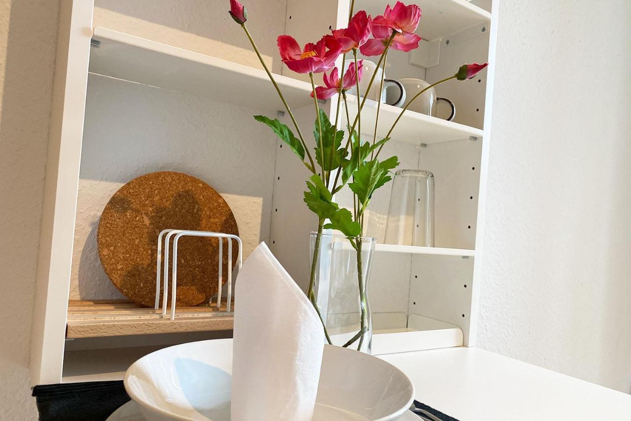 Business & Tourist Apartment With Balcony Osnabrueck Ngoại thất bức ảnh